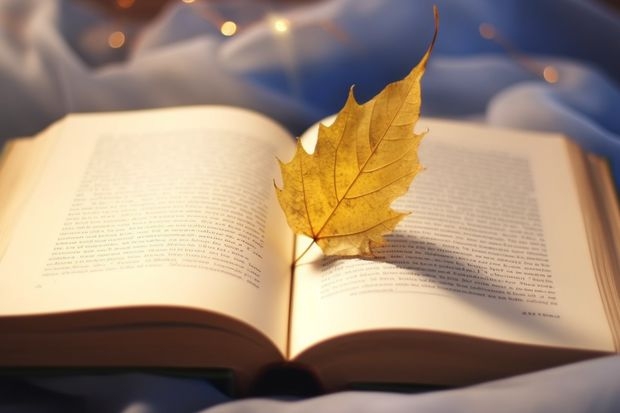 想上重点大学，美术生文化需要考多少分呀？