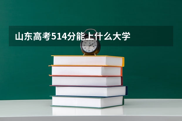 山东高考514分能上什么大学