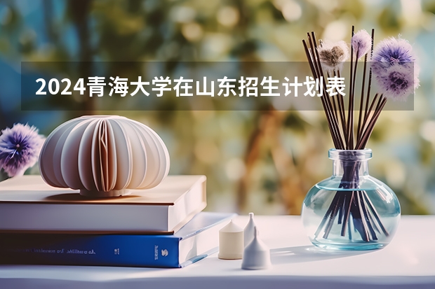 2024青海大学在山东招生计划表