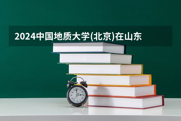 2024中国地质大学(北京)在山东招生计划表