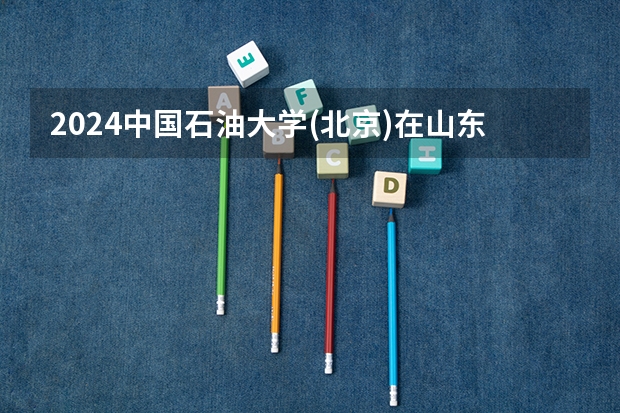 2024中国石油大学(北京)在山东招生计划表