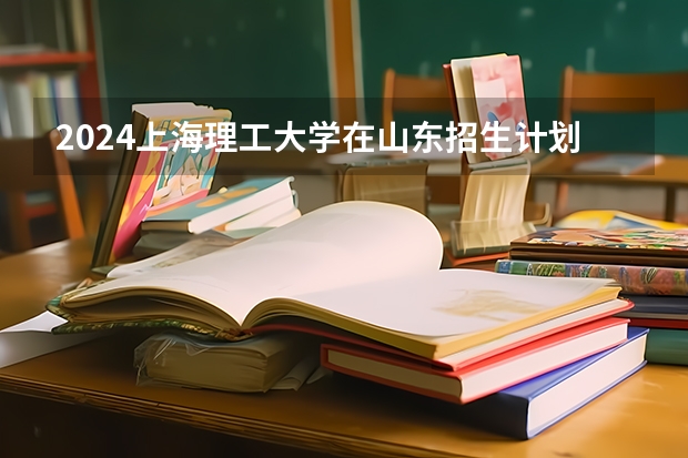 2024上海理工大学在山东招生计划表