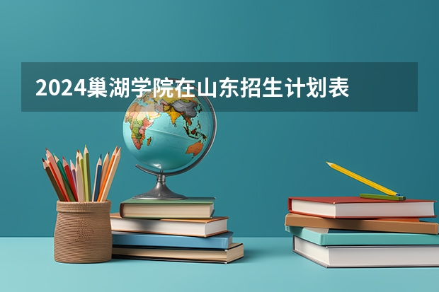 2024巢湖学院在山东招生计划表