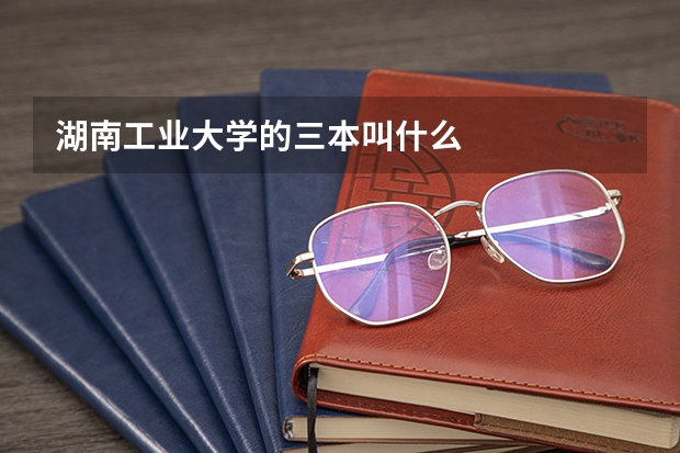 湖南工业大学的三本叫什么