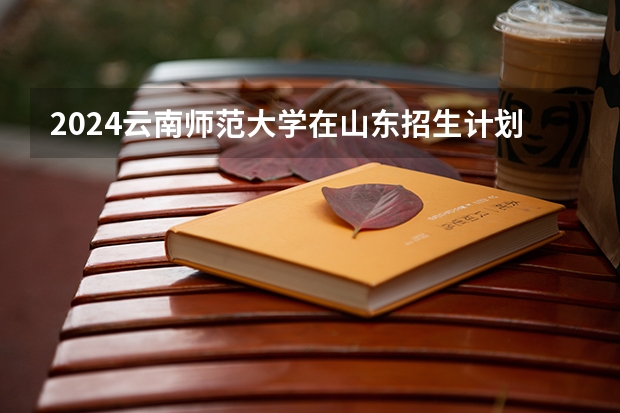 2024云南师范大学在山东招生计划表