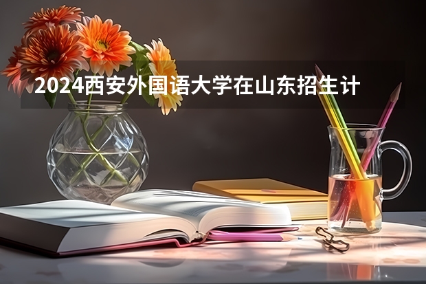 2024西安外国语大学在山东招生计划表