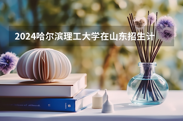 2024哈尔滨理工大学在山东招生计划表