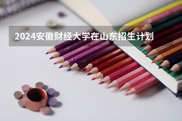 2024安徽财经大学在山东招生计划表