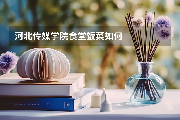 河北传媒学院食堂饭菜如何