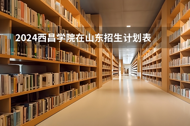 2024西昌学院在山东招生计划表