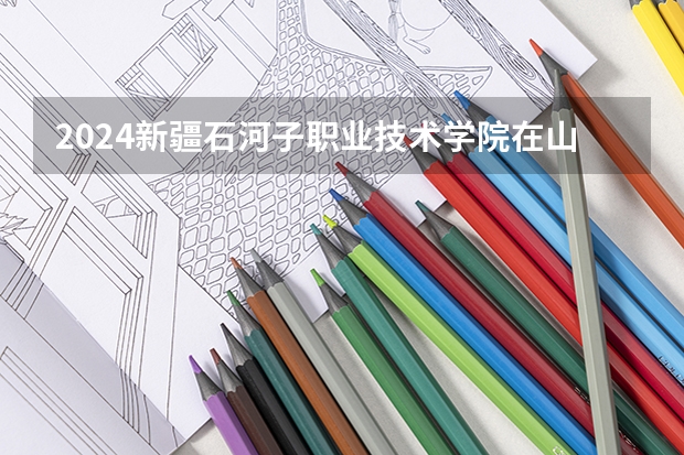 2024新疆石河子职业技术学院在山东招生计划表