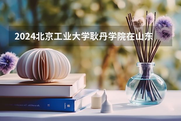 2024北京工业大学耿丹学院在山东招生计划表