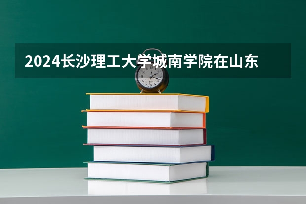 2024长沙理工大学城南学院在山东招生计划表