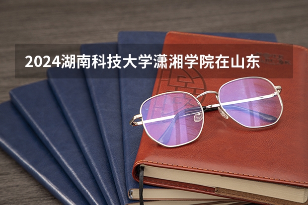 2024湖南科技大学潇湘学院在山东招生计划表