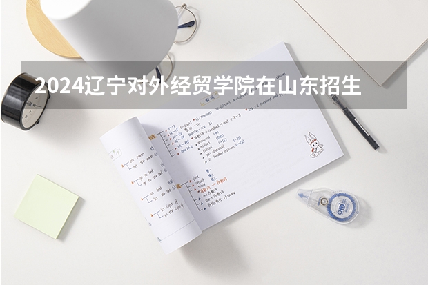 2024辽宁对外经贸学院在山东招生计划表