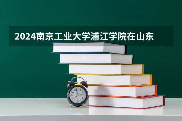 2024南京工业大学浦江学院在山东招生计划表