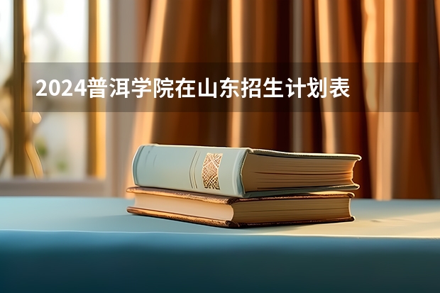 2024普洱学院在山东招生计划表
