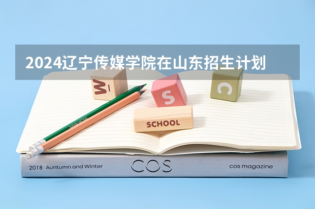 2024辽宁传媒学院在山东招生计划表