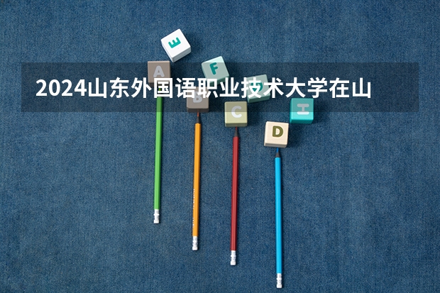 2024山东外国语职业技术大学在山东招生计划表