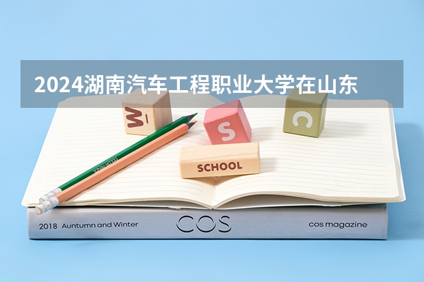 2024湖南汽车工程职业大学在山东招生计划表