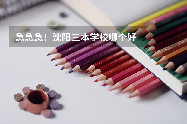 急急急!沈阳三本学校哪个好