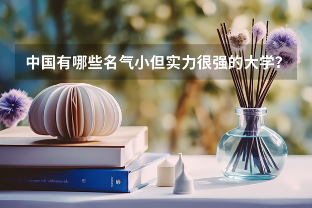中国有哪些名气小但实力很强的大学？