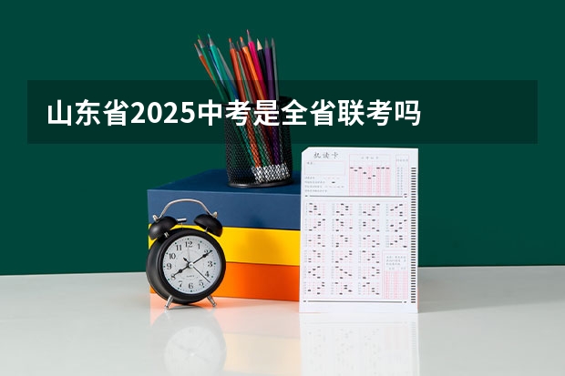 山东省2025中考是全省联考吗
