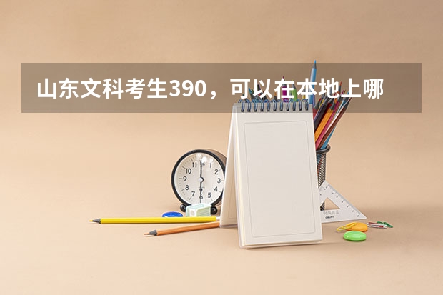 山东文科考生390，可以在本地上哪些公办学校?