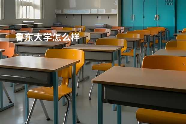 鲁东大学怎么样