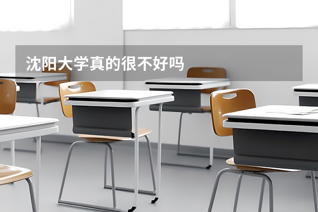 沈阳大学真的很不好吗