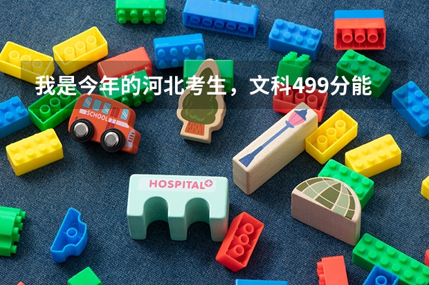 我是今年的河北考生,文科499分能上燕山大学里仁学院吗?学哪个专业考研比较好?