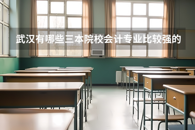 武汉有哪些三本院校会计专业比较强的？