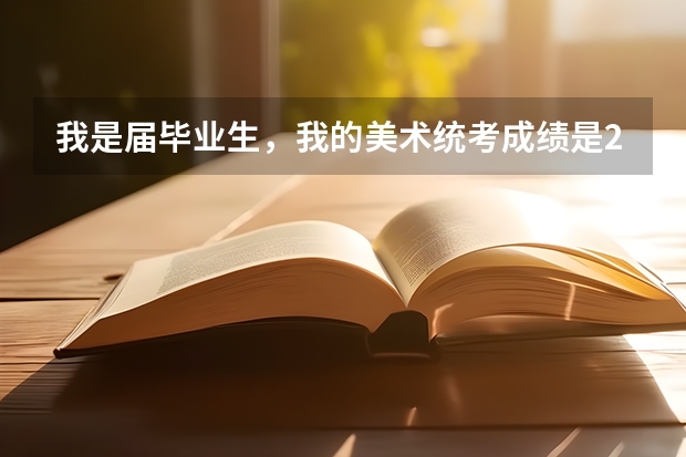 我是届毕业生,我的美术统考成绩是227分,文化是392分 能上湖南的哪几所三本大学?有上二本的可能吗?