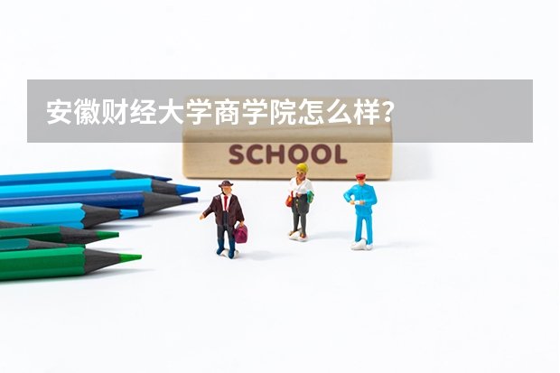 安徽财经大学商学院怎么样?