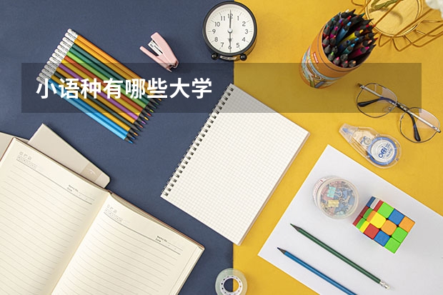小语种有哪些大学
