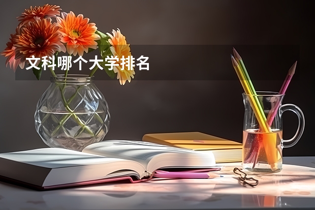文科哪个大学排名