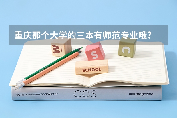 重庆那个大学的三本有师范专业哦? 全国比较好的三本院校