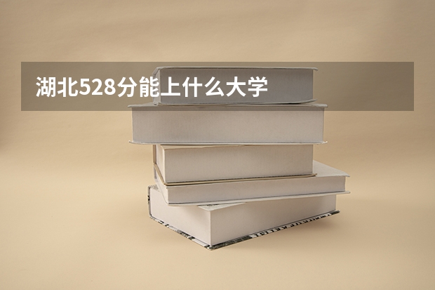 湖北528分能上什么大学