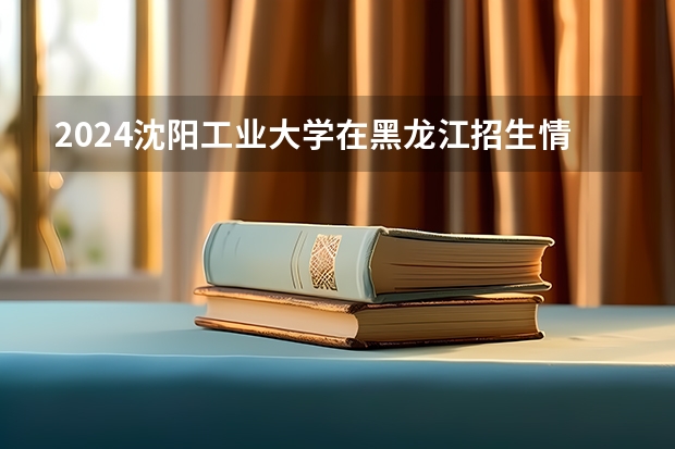 2024沈阳工业大学在黑龙江招生情况怎么样