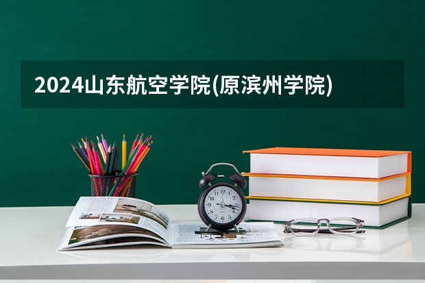 2024山东航空学院(原滨州学院)在黑龙江招生情况怎么样