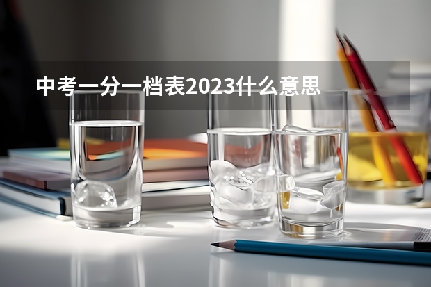 中考一分一档表2023什么意思