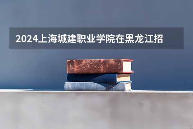 2024上海城建职业学院在黑龙江招生情况怎么样
