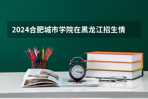 2024合肥城市学院在黑龙江招生情况怎么样