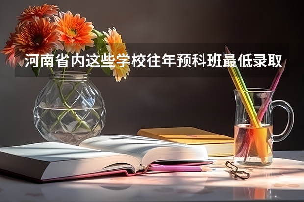 河南省内这些学校往年预科班最低录取分数线大概多少？谢谢！！！