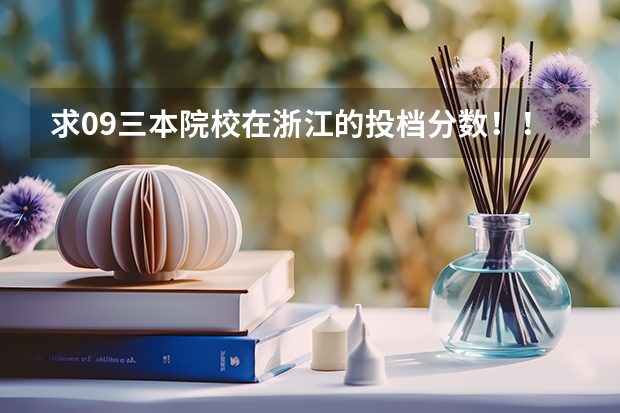 求09三本院校在浙江的投档分数！！急！！！（三本院校排名及录取分数线）