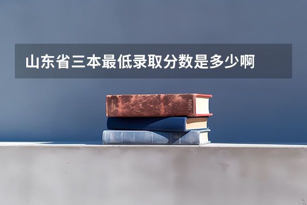 山东省三本最低录取分数是多少啊