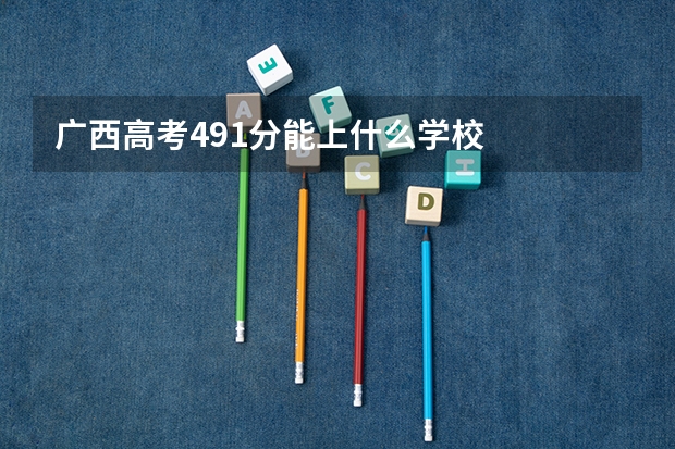 广西高考491分能上什么学校