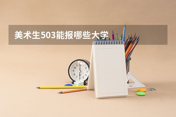 美术生503能报哪些大学