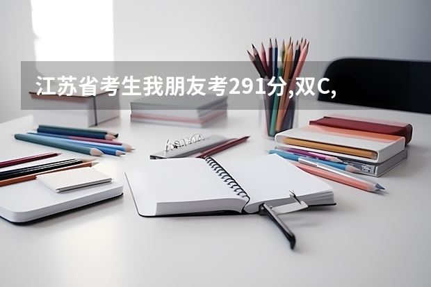 江苏省考生.我朋友考291分,双C,想报省内三本,机械类专业.有哪些学校可以报?