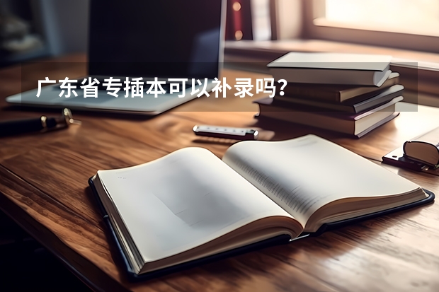 广东省专插本可以补录吗？
